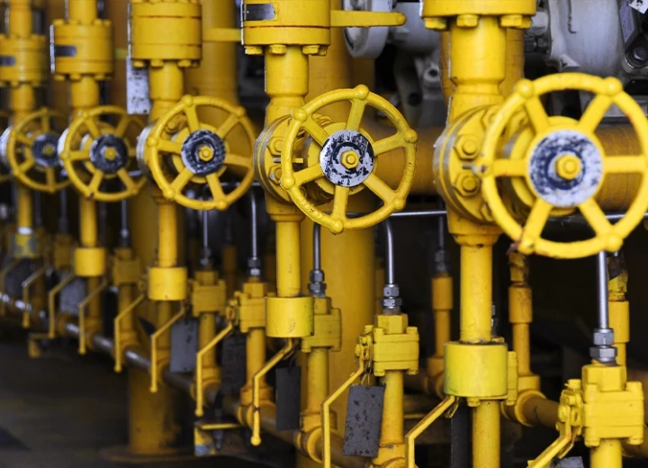 <strong>Estrutura</strong>